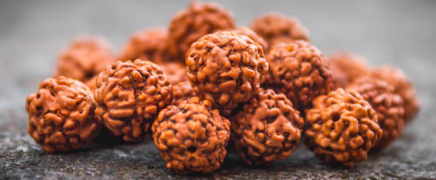benefits of 5 mukhi rudraksha