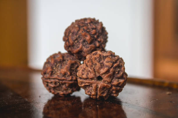 10 mukhi rudraksha benefits
