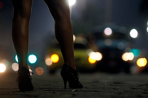 High-class escorts in Udaipur
