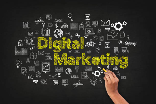 Fort Collins Digital Marketing