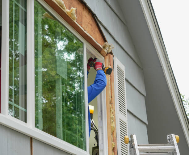 energy efficient window replacement