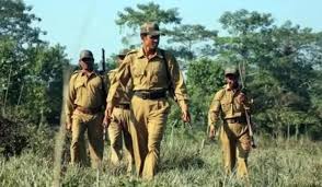 sarkari job van vibhag